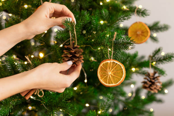 istockphoto-1430117895-612x612